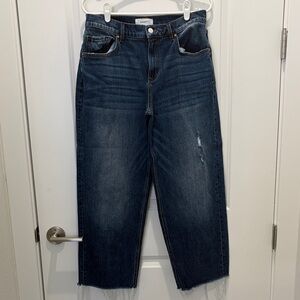 Level 99 Barrel Jeans